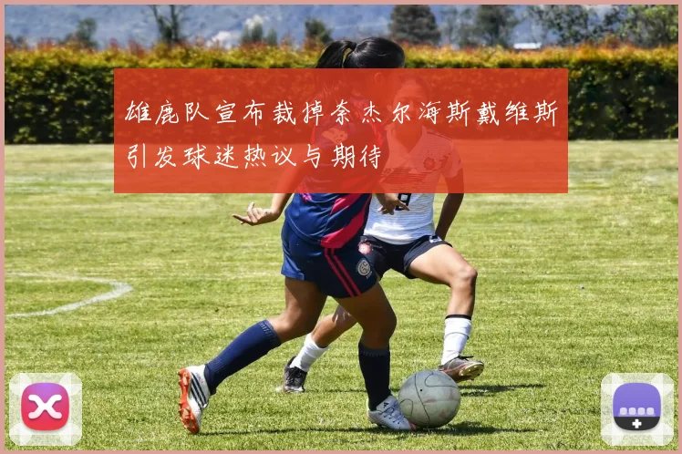 雄鹿队宣布裁掉奈杰尔海斯戴维斯引发球迷热议与期待