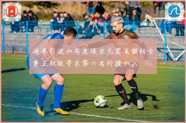 海港引进加布里埃尔无需高额转会费正积极寻求第六名外援加入